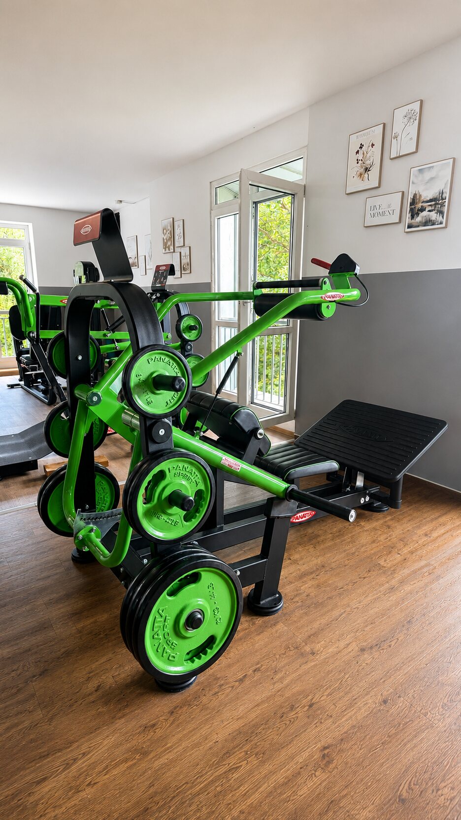 Panatta Gerät mit Hantelscheiben im Krafttraining-Bereich